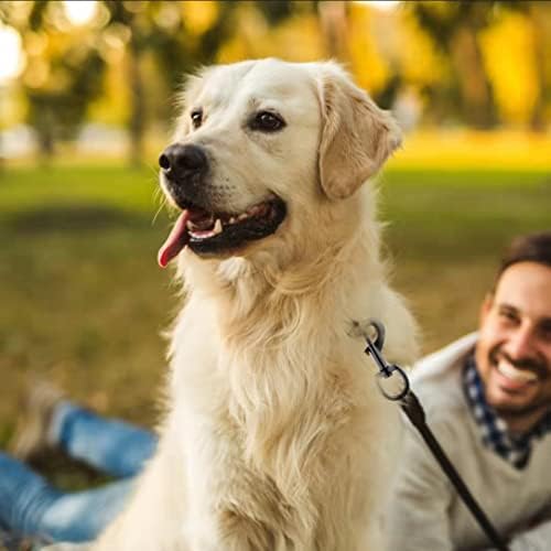 Dog Leash Clips - Heavy Duty