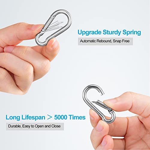 10-Piece Stainless Steel Carabiner Clips for Keys and Hiking