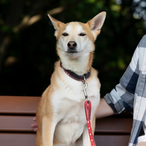 24-Piece Trigger Snaps for Dog Leashes More