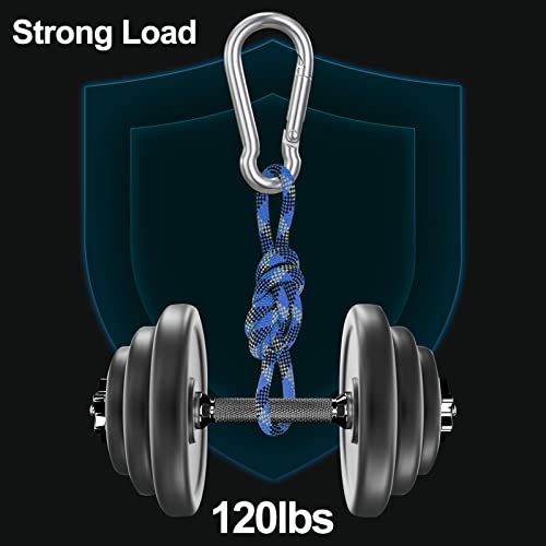 10-Piece Stainless Steel Carabiner Clips for Keys and Hiking