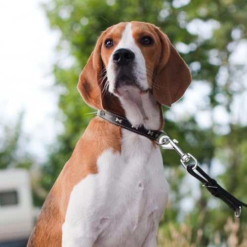 Therwen Heavy Duty Swivel Snap Hooks for Dog Leash