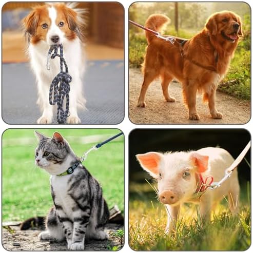 ERKOON Double-E Easy-Opening Heavy-Duty Pet and Hobby Snaps