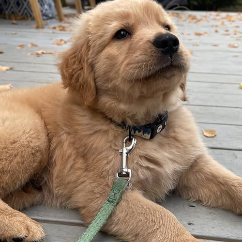 24-Piece Trigger Snaps for Dog Leashes More