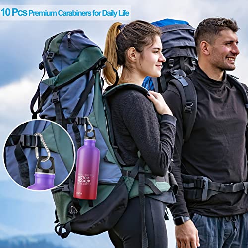 10-Piece Stainless Steel Carabiner Clips for Keys and Hiking