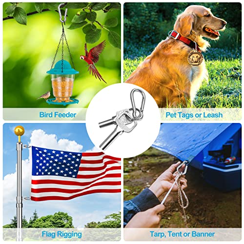 10-Piece Stainless Steel Carabiner Clips for Keys and Hiking