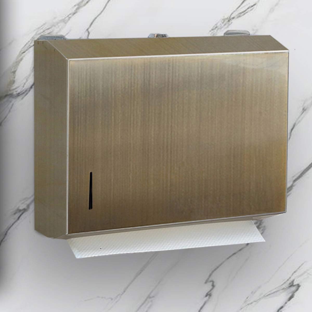 Gotonovo Dual Dispensing Paper Towel Holder Bathroom Wall Mount