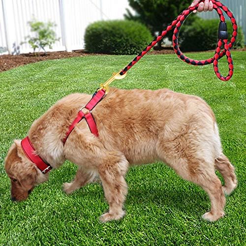 Quick-Release Bolt Snaps for Keychains and Pet Leashes