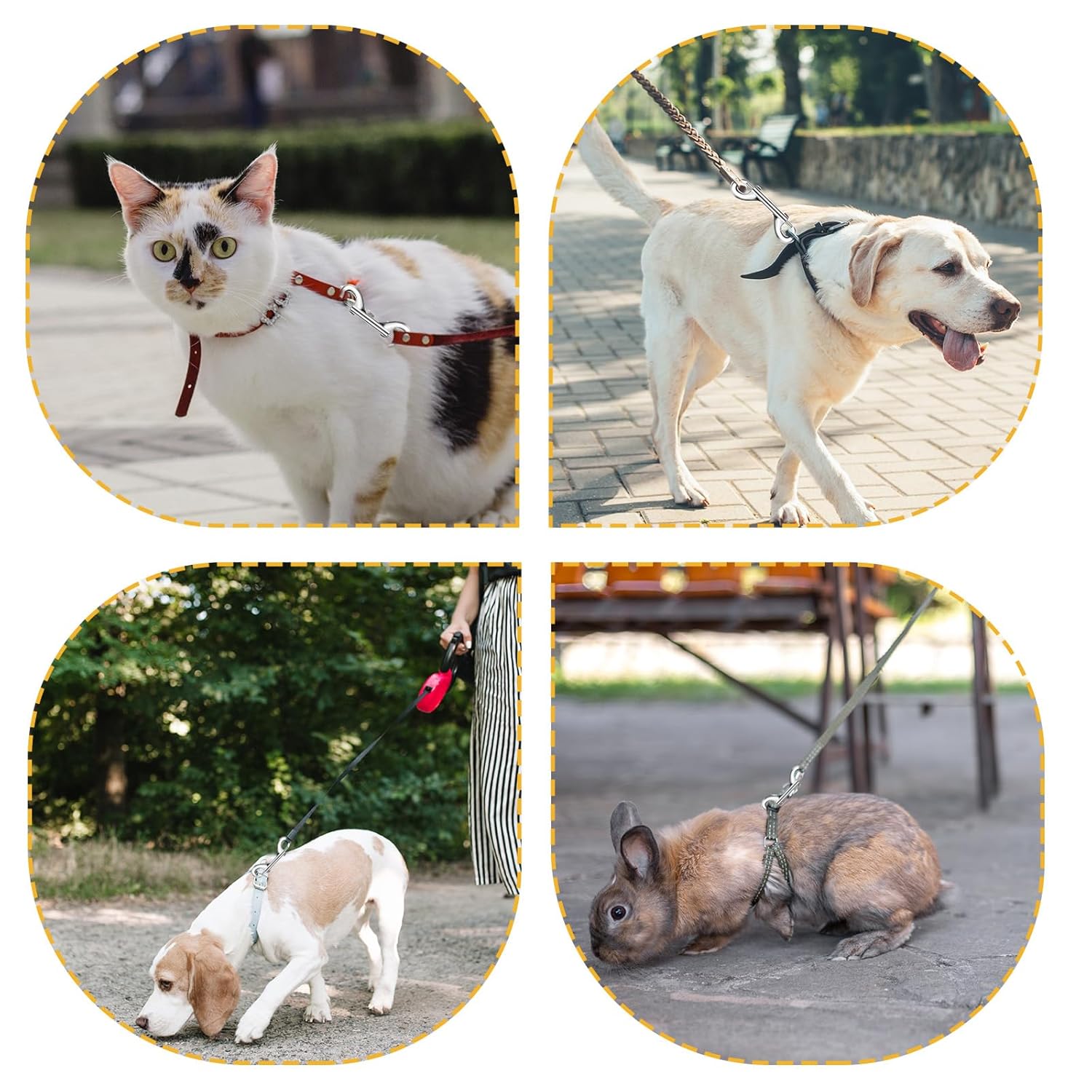 Double-Ended Metal Snap Hooks for Secure Pet Leash Farm Use