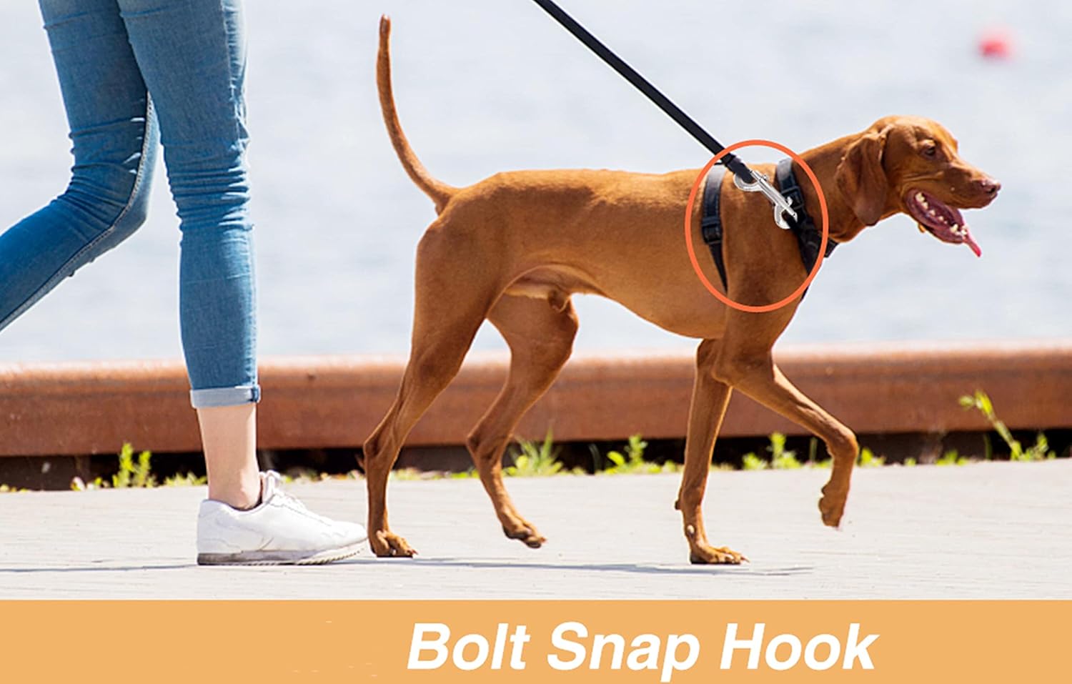 Versatile Dog Leash Hook