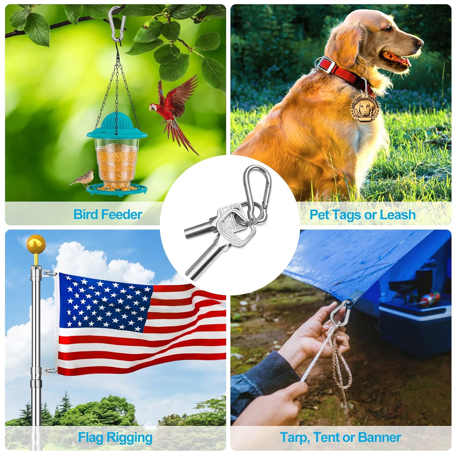 10-Piece Stainless Steel Carabiner Clips for Keys and Hiking