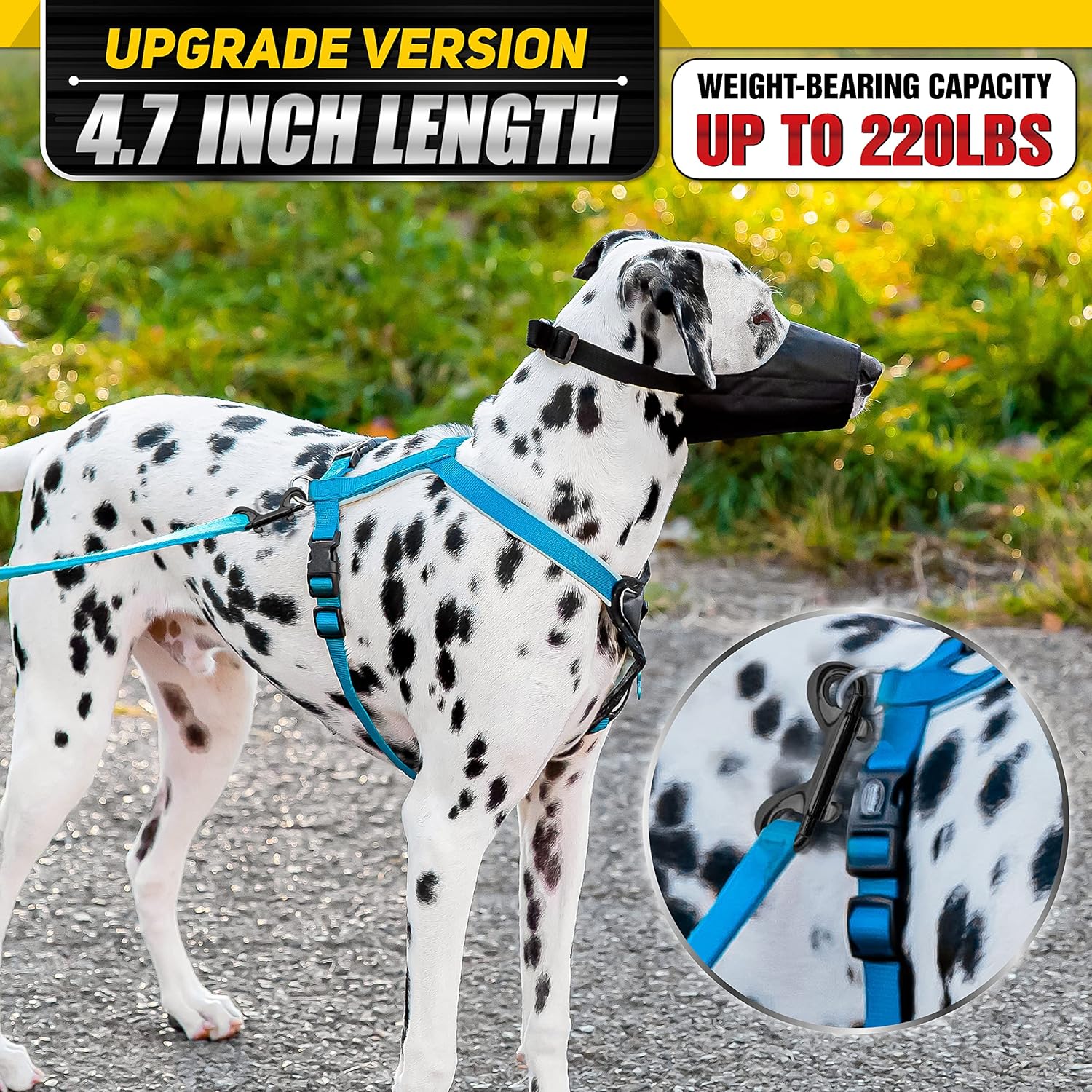 Secure and Durable Bolt Snap Hook Set